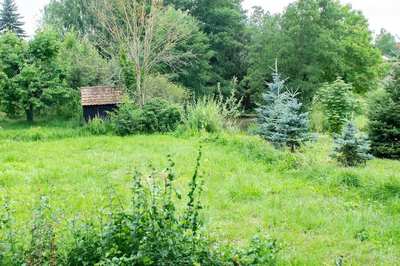 Ferienwohnung Auf Ehemaligen Bauernhof In Der Naehe Von Bamberg Walsdorf  Apartment Walsdorf (Bavaria)